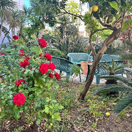 Villa Santa Maria Playa Grupo Ac Gestion كاديز المظهر الخارجي الصورة